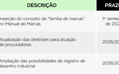 INPI atualiza Agenda Regulatória e define prioridades para os próximos anos